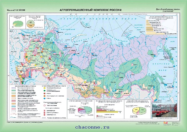 Информация по программе субсидирования в рамках гарантирования и страхования зай