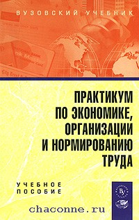 Экономика предприятия 2. Практикум по экономике. Экономика организации практикум. Книги для инженера по организации и нормированию труда. Основы экономики труда и управления.