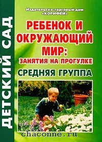 Наблюдение в детском саду на прогулке. Прогулка в средней группе с картинками прогулка 4. Прогулка в средней группе занятие. Фото прогулка средняя группа доу ветер. Игрушки для прогулки в детском саду.