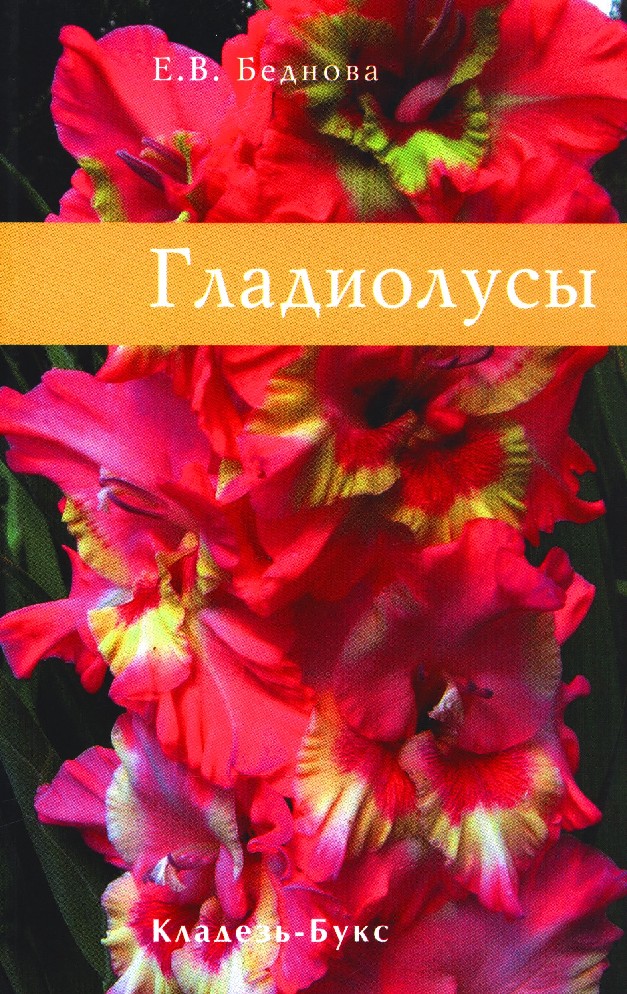 Гладиолусы Купить У Коллекционеров Через Интернет Магазин