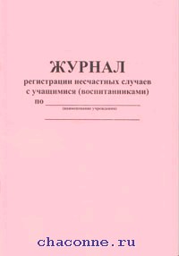 Журнал регистрации несчастных случаев с обучающимися образец 2022