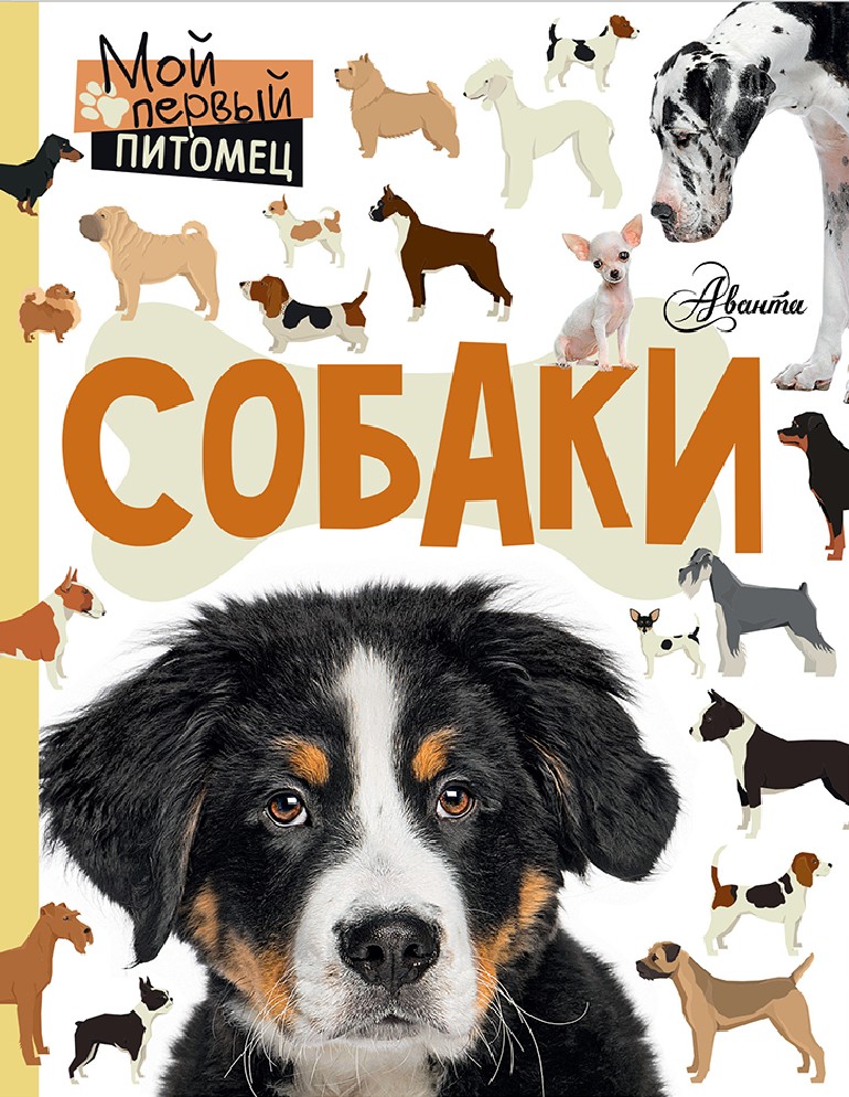 Обложки пес. Книги про собак. Собака с книжкой. Книги о собаках для детей. Детские книги про собак.