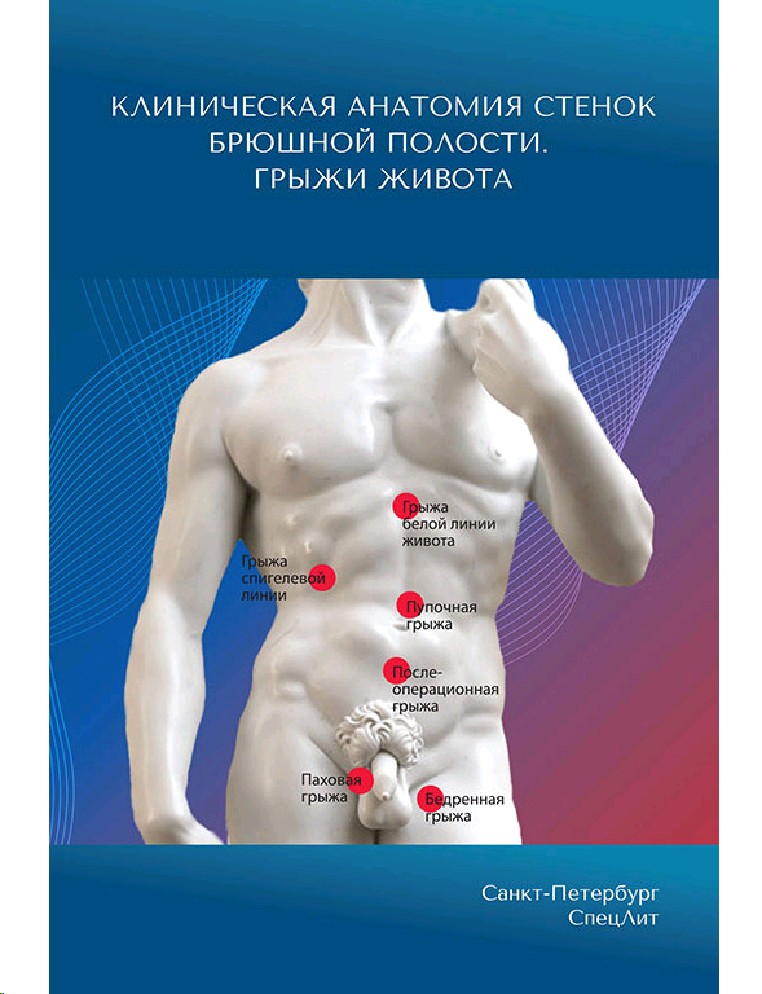 Клиническая анатомия. Клиническая анатомия грыжи. Клиническая анатомия сосудов и нервов Гайворонский. Анатомия живота.