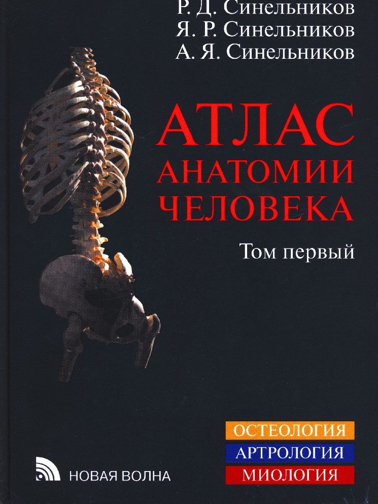 Атлас нормальной анатомии. Атлас анатомии человека Синельников 1 том. Атлас анатомии человека Синельникова книга. Атлас анатомии человека Синельникова том 4. Синельников атлас анатомии человека 3 том.