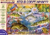 обитатели экосистемы озера. животныепресных водоëмых. обитатели водоемов. кто живет в озере. обитатели прудов и озер.