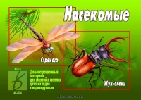 Пристрой 5