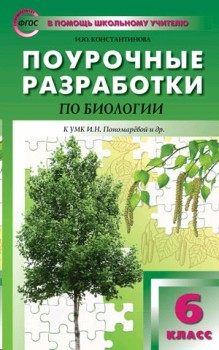 Индивидуальный проект 11 класс рабочая программа